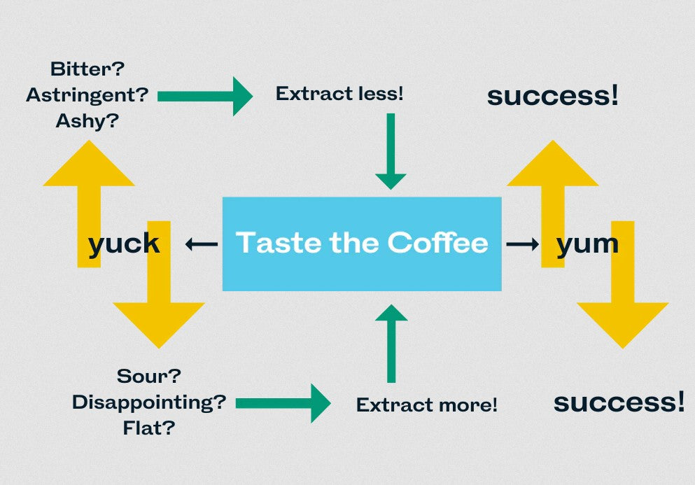 What even IS Coffee? Basics of Brewing