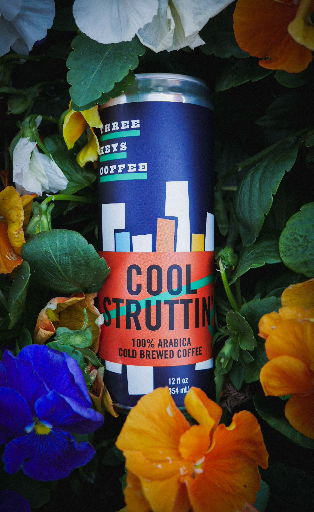 Cool Struttin’ - Canned Cold Brew - 6pk