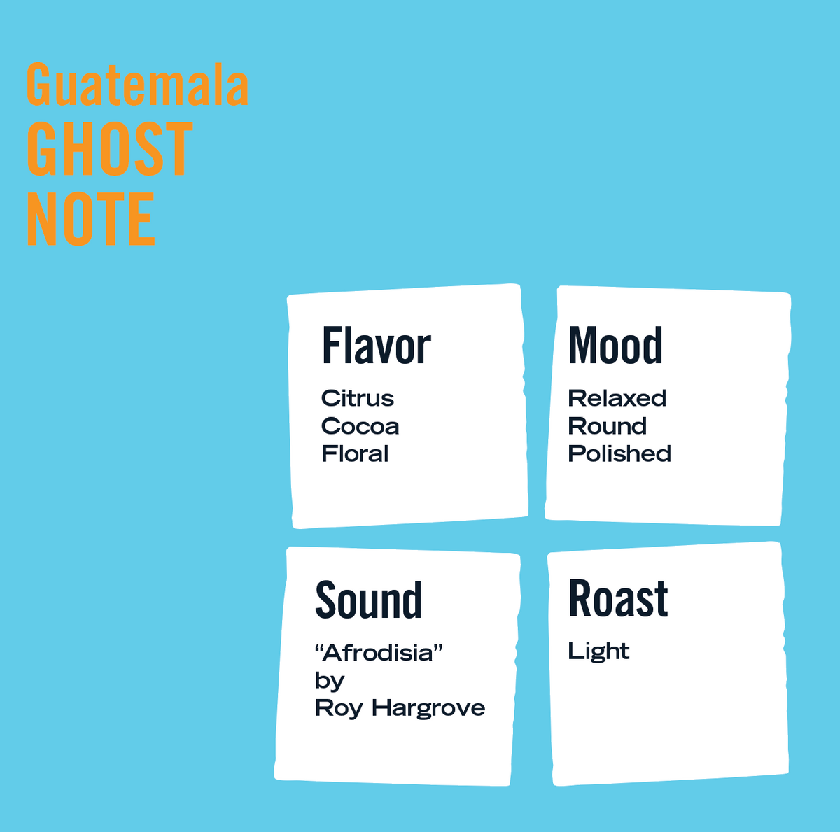 Guatemala Ghost Note - Single Origin